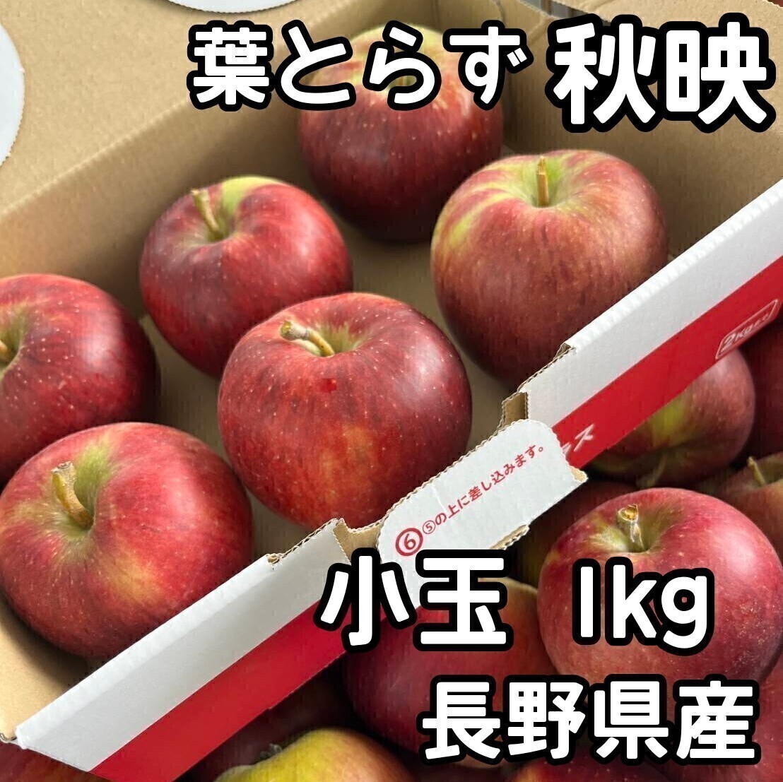 2025年最新】Yahoo!オークション - リンゴ(果物 野菜、果物)の