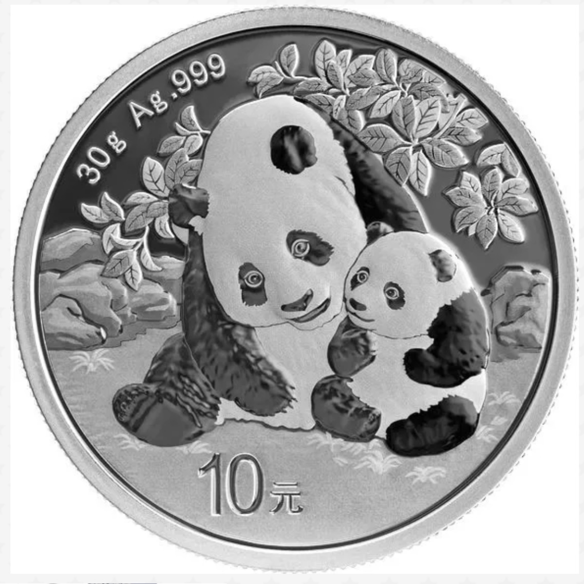 2025年最新】Yahoo!オークション -パンダ銀貨の中古品・新品・未