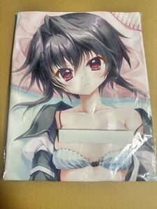 結城希亜 抱き枕カバー -9nine- ゆきいろゆきはなゆきのあと 有償特典 和泉つばす ぱれっと 正規品 新品未開封