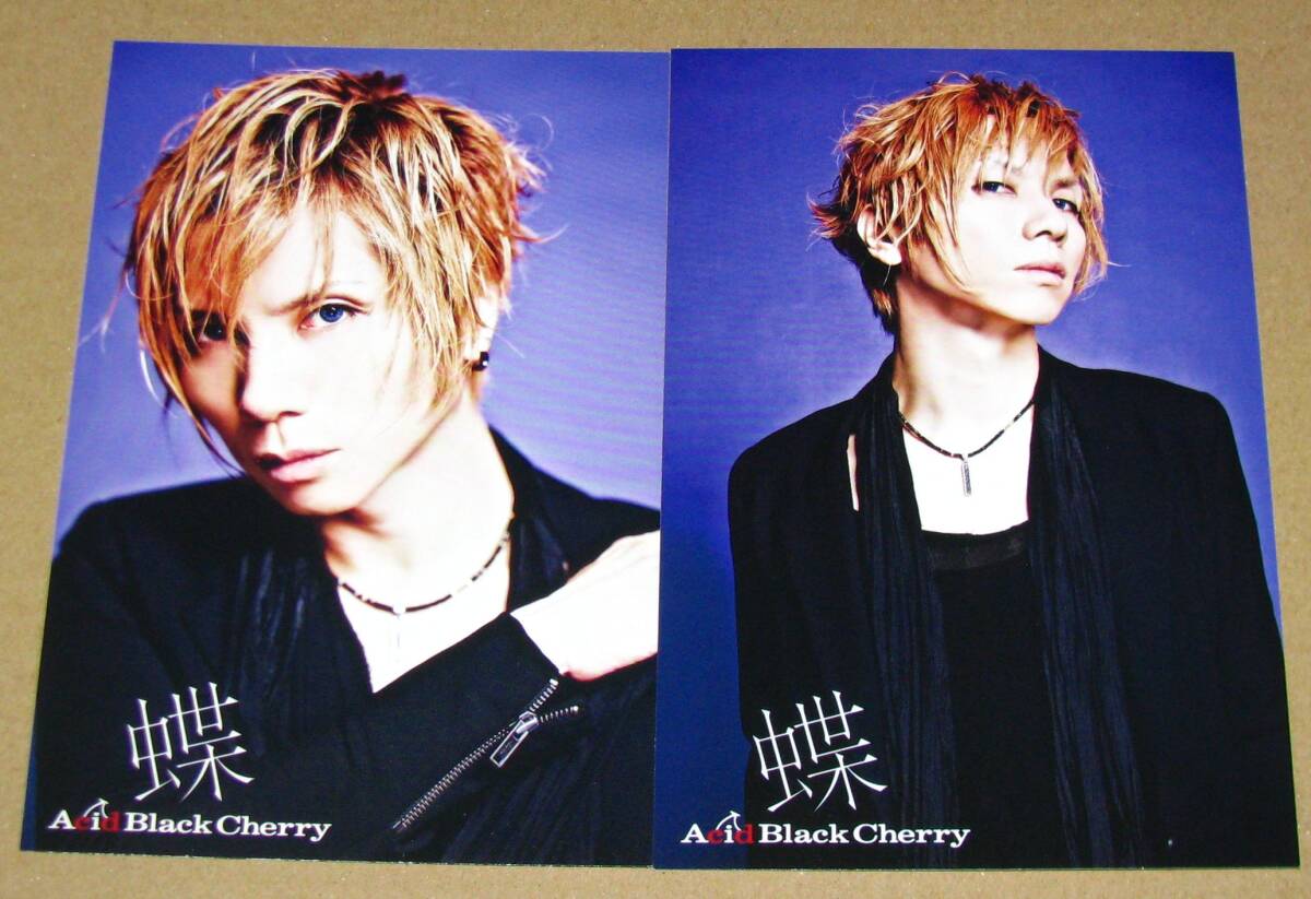 【Acid Black Cherry】ツアー限定 ポストカードセット☆14セット Acid Black Cherry カードセットの通販 by りーᵕ̈*'s shop｜ラクマ