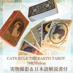 猫 タロット タロットカード 神秘 かわいい 可愛い 10cm78枚【残5限定】