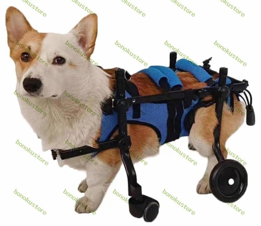 mako【中古】犬用車椅子/豆柴 mako様専用【中古】犬用車椅子/豆柴 - メルカリ