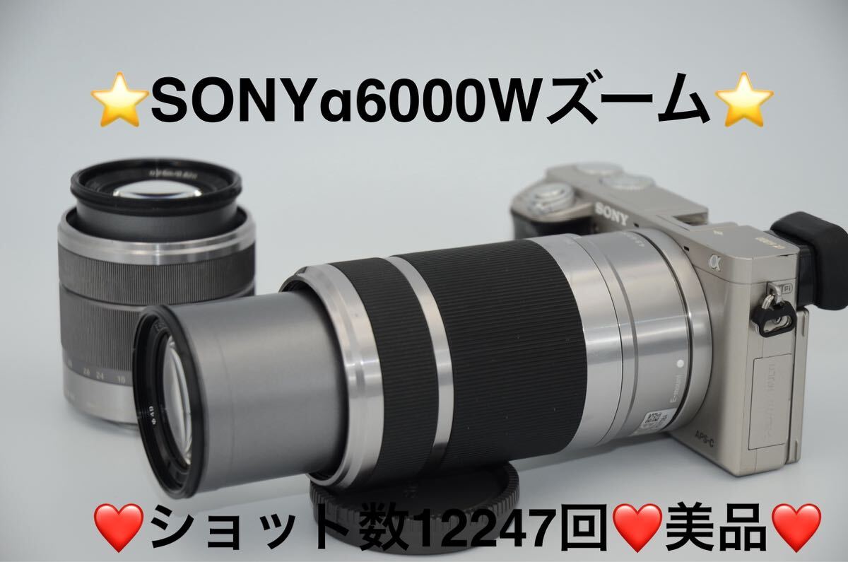 SONY α6000 ILCE-6000Y ダブルズームレンズキット [ブラック