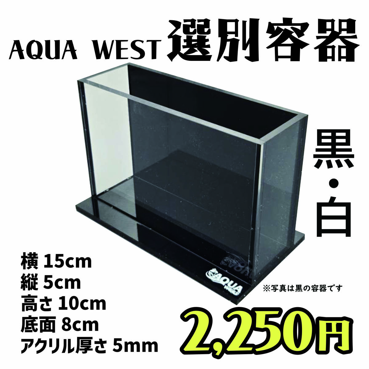 2025年最新】Yahoo!オークション -改良めだか研究所の中古品