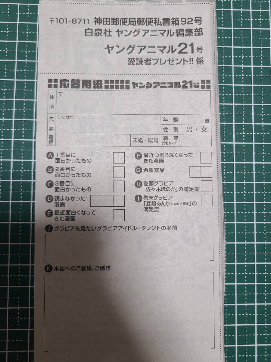 激レア！懸賞当選品　 ヤングアニマル 応募プレゼント ヤングアニマル2025年17号アンケートプレゼントページとチェキの