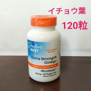 イチョウ葉エキス Extra Strength Ginkgo 120mg 120粒 Doctor's Best ドクターズベスト いちょう葉 ナウフーズ