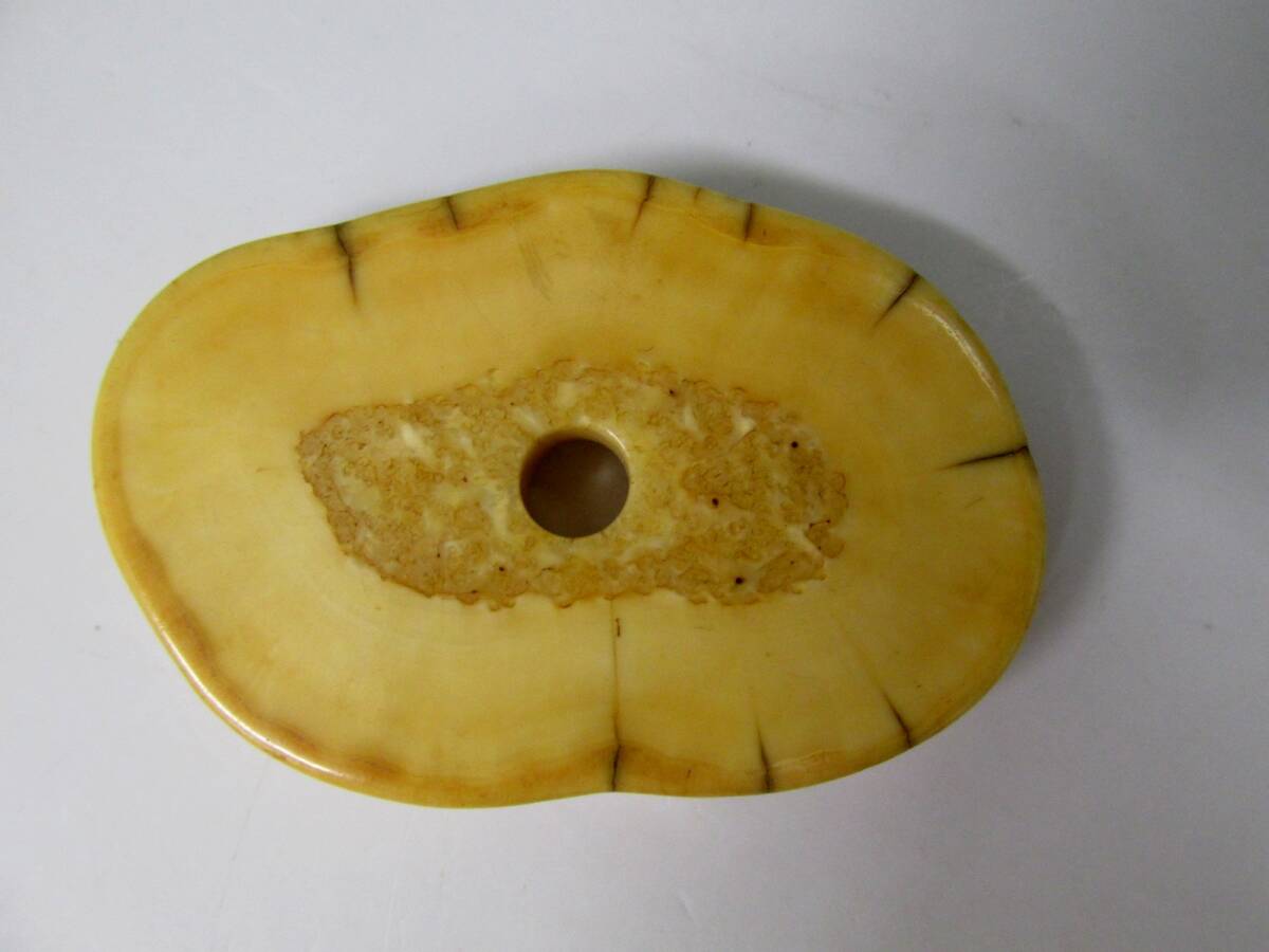 Yahoo!オークション -「セイウチ牙」の落札相場・落札価格