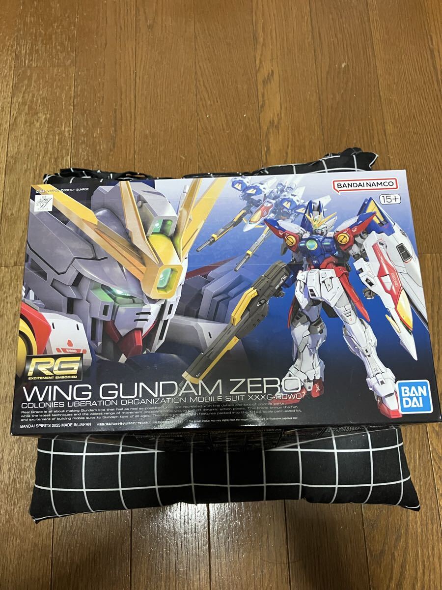 HG RG ガンダムW 12体セット　ジャンク　組立済み HG RG ガンダムW 12体セット ジャンク 組立済み