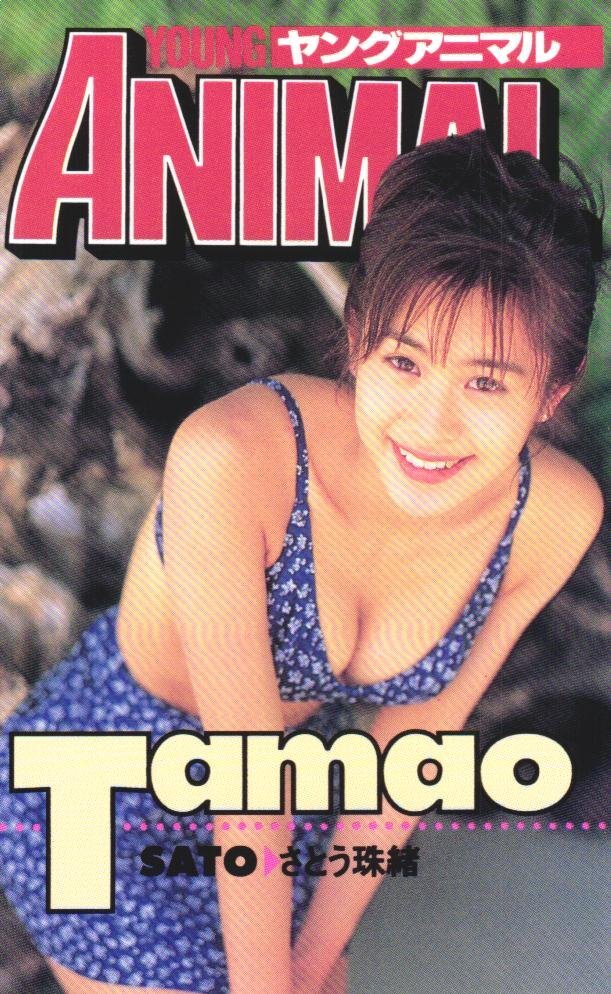 ヤングアニマル　1998年　7/10　No13　さとう珠緒 49. ヤングアニマル 1998年 第13号 ベルセルク掲載 - メルカリ