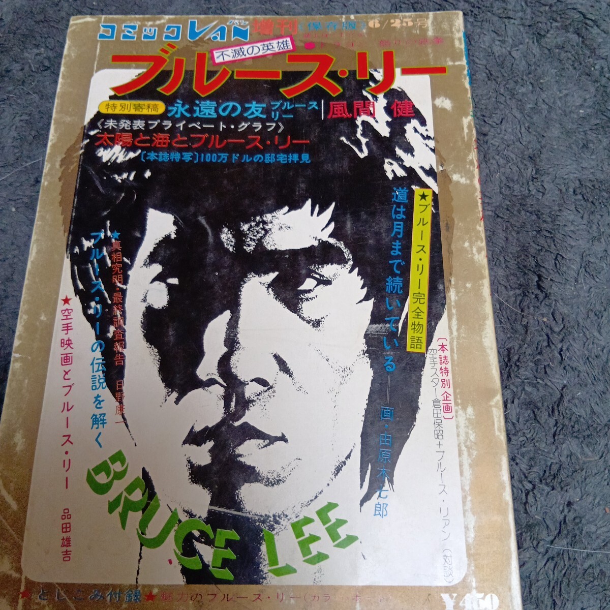 2025年最新】Yahoo!オークション -ブルース・リー(本、雑誌)の