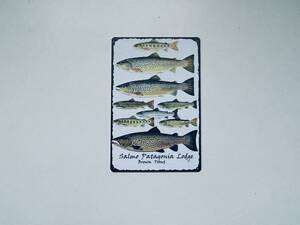ブリキ看板 20×30㎝ 魚 釣り 釣具 フィッシング 魚拓 バス レトロ調 お洒落に アメリカンガレージ インテリア 防水 新品 P375 再入荷