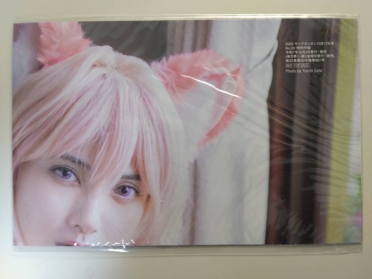 桃月なしこ　B2 ポスター Amazon.co.jp: TTFCオリジナル ヨドンナ B2ポスター 桃月なしこ