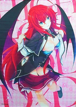 2025年最新】Yahoo!オークション -ハイスクールd×d(タペストリー