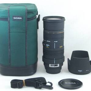 ★外観新品級★SIGMA シグマ APO 50-500mm F4-6.3 EX HSM CANON キャノン ケース付き♪
