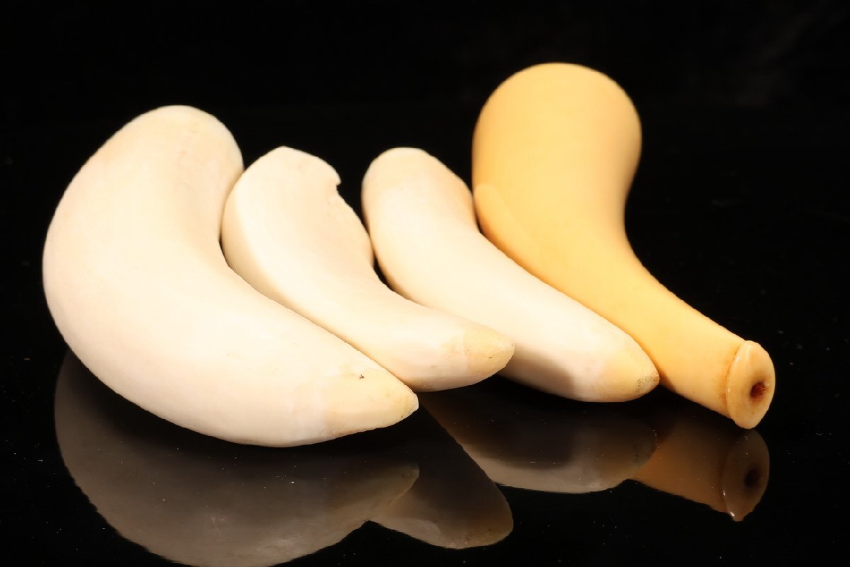 Yahoo!オークション -「鯨歯 パイプ」の落札相場・落札価格