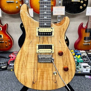 【10967】PRS SE CUSTOM 24 SPALTED MAPLE
