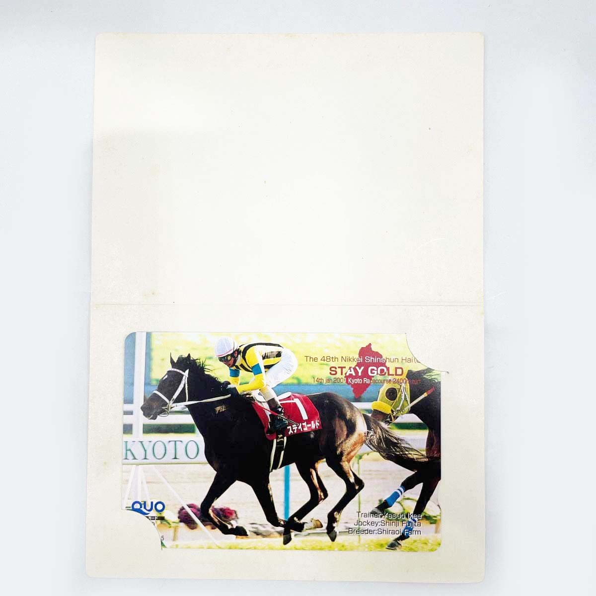 2025年最新】Yahoo!オークション -競馬 ステイゴールドの中古品