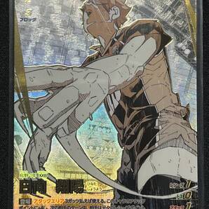 ハイキュー!! バボカ!! BREAK HV-P01-002 ゴミ捨て場の決戦 頂P 日向 翔陽 烏野 1年 MB