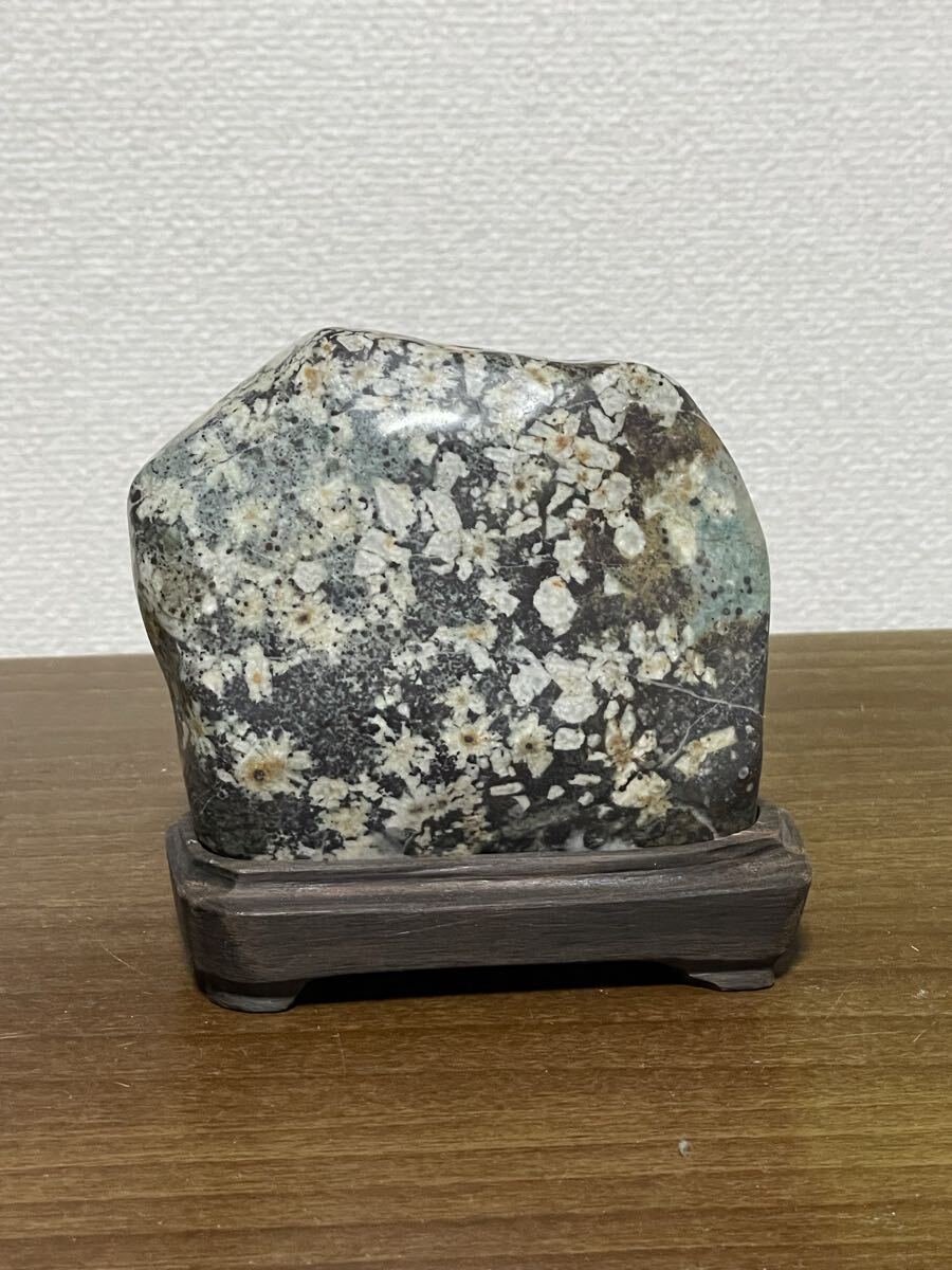 水石　鑑賞石 水石 鑑賞石 自然石 盆石 小滝石 馬淵川石 八瀬 巣立ち真黒