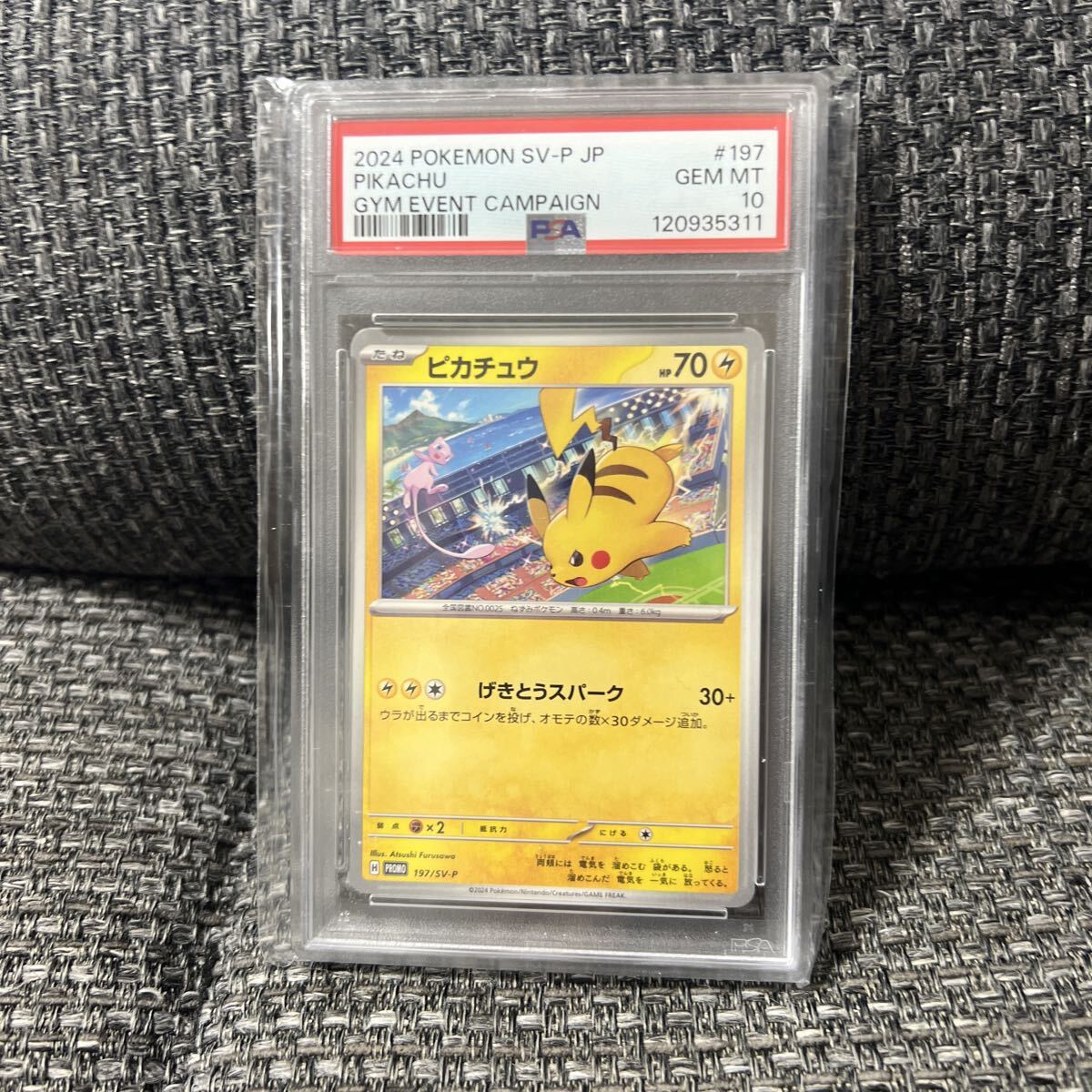ポケモン - ポケモンカード特典　ピカチュウ　即決ok ピカチュウ | ポケモンカードゲーム公式ホームページ