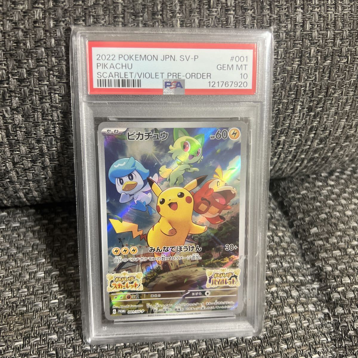 2025年最新】Yahoo!オークション -psa10 ピカチュウの中古品