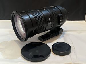 SIGMA シグマ APO 50-500mm F4.5-6.3 DG OS HSM Canon キヤノン EFマウント 望遠 ズームレンズ (5147)