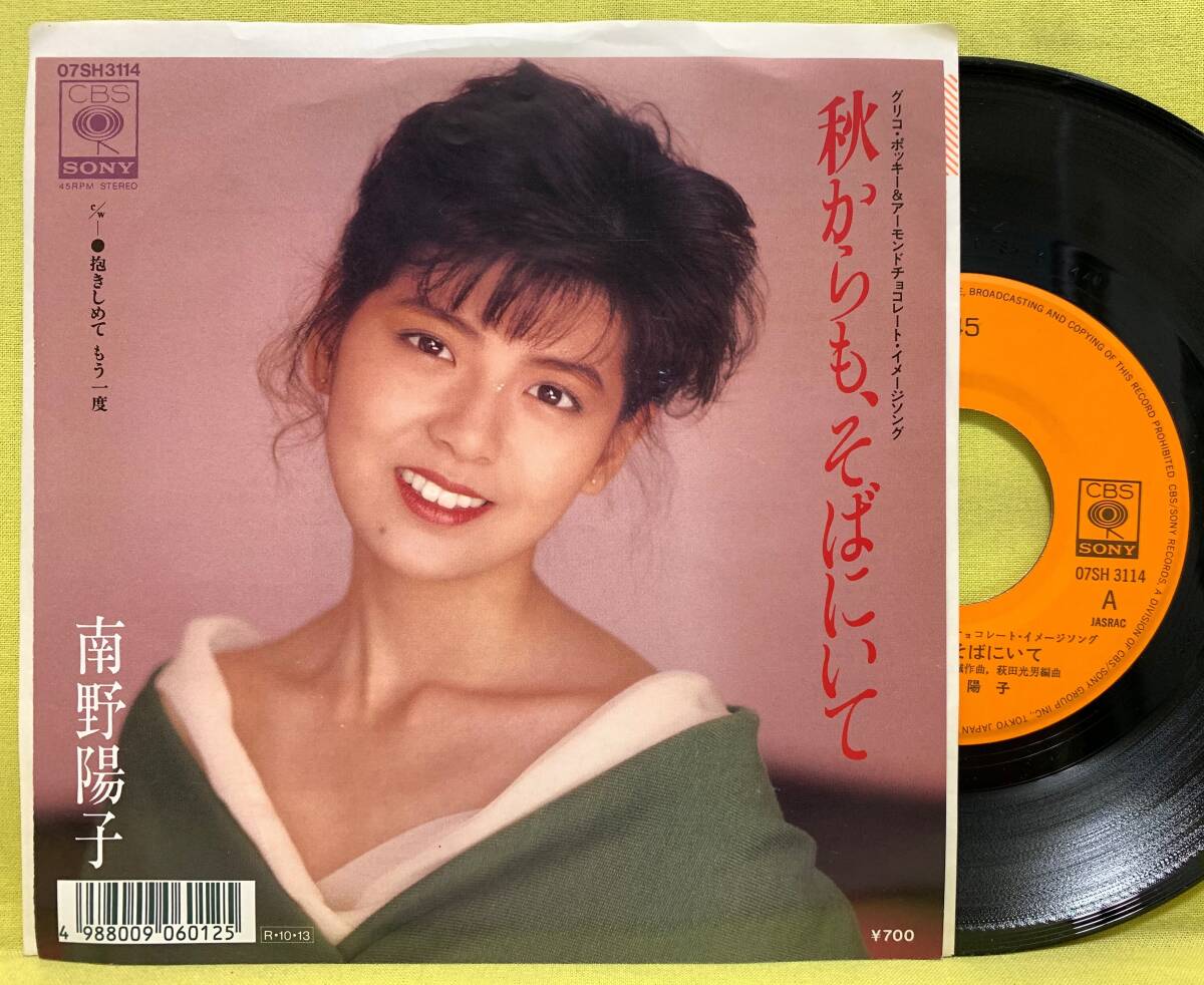 2025年最新】Yahoo!オークション -南野陽子(レコード)の中古品
