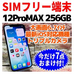 SIMフリー iPhone12ProMAX 256GB 1404 パシフィックブルー 新品電池