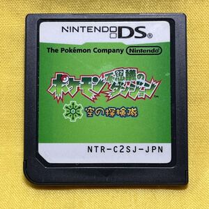 【DS】ポケモン不思議のダンジョン 空の探検隊