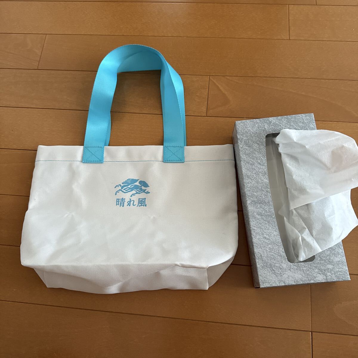 晴れ風　 ミニトートバッグ