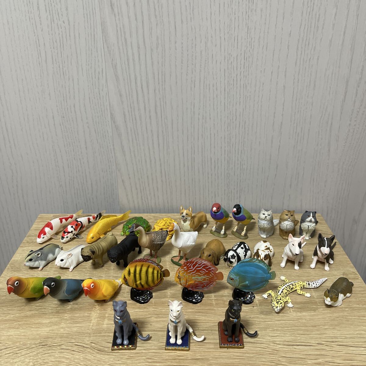 Yahoo!オークション -「チョコエッグ シークレット