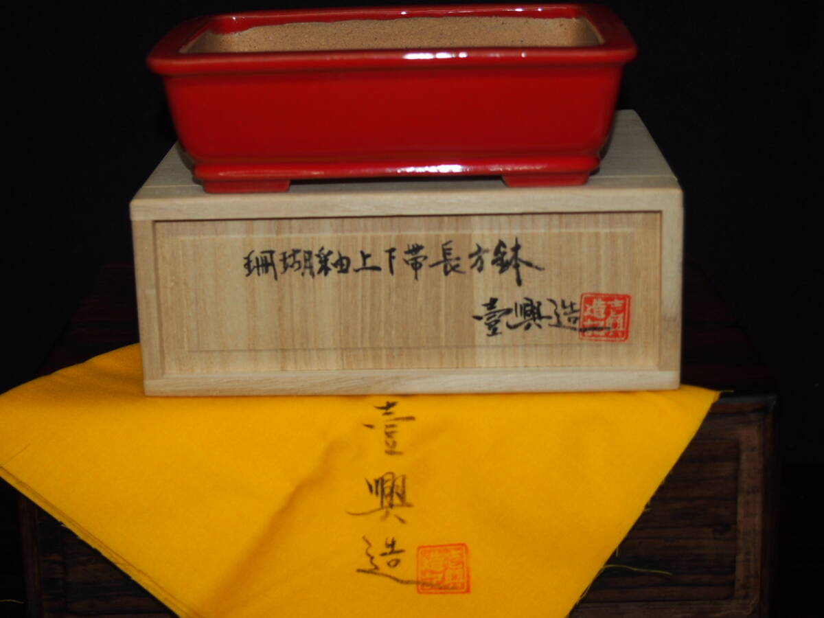 渡邉壹興　盆栽鉢　黄釉長方 渡邉壹興 盆栽鉢 黄釉長方 中古】盆栽鉢 常滑 壱興 渡辺