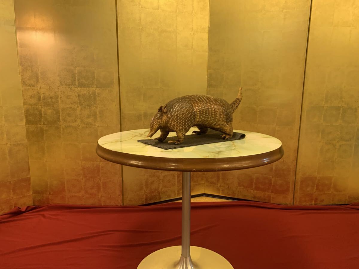 Yahoo!オークション -「アルマジロ 剥製」の落札相場・落札価格