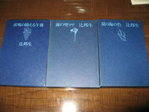 <書籍>雷鳴の聞こえる午後/夏の海の色/霧の聖マリ/辻邦生