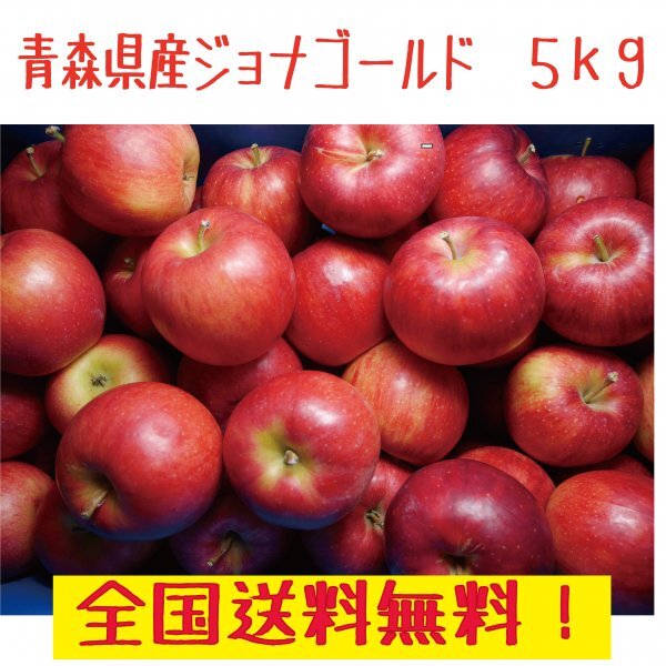 りんご出品！他の方はご遠慮ください。 2025年最新】Yahoo!オークション -りんごの中古品・新品・未使用