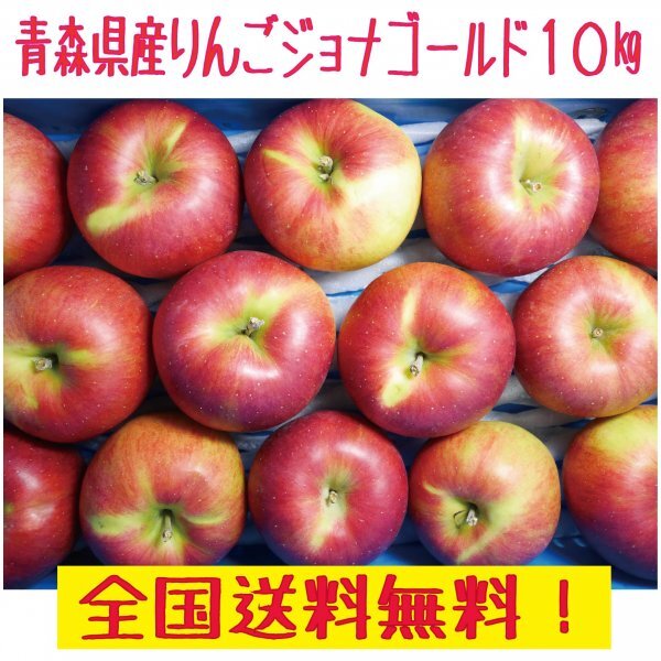 2025年最新】Yahoo!オークション - リンゴ(果物 野菜、果物)の