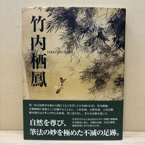 初版・帯付 竹内栖鳳 TAKEUCHI SEIHOU 平野重光 高階秀爾 光村推古書院 栖鳳論 印譜 大型本/古本/微汚れ/美品本/状態は画像で確認を/NCで