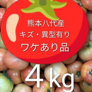 熊本八代産トマト わけあり品4kg