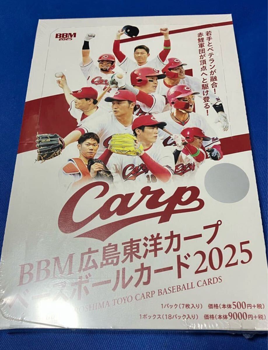 広島東洋カープ　佐藤柳之介選手　直筆サイン入りユニフォーム&ポストカード2枚 ミントモール / MINT 池袋店 / 2025 EPOCH 広島東洋カープ