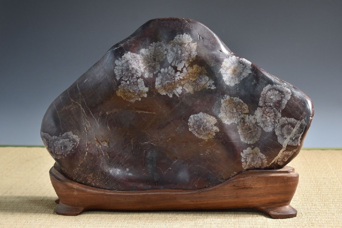 2025年最新】Yahoo!オークション -菊花石 根尾の中古品・新品