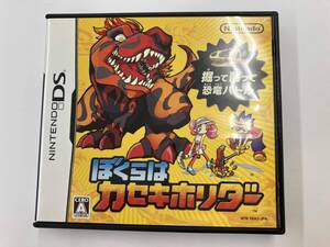 DS ぼくらはカセキホリダー