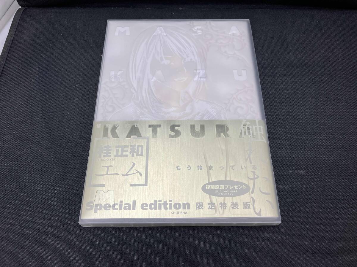 桂正和　M［エム］限定特装版　未開封 桂正和 M［エム］限定特装版 未開封 桂正和 M［エム］限定特
