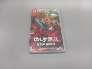 ニンテンドースイッチ ゼルダ無双 厄災の黙示録