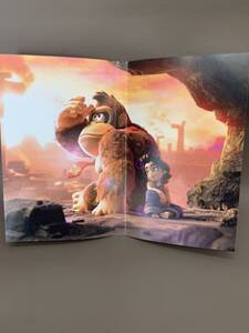 #4875 Nintendo Switch2 ニンテンドースイッチ2 ドンキーコング バナンザ BANANZA ゲームソフト 任天堂 現状保管品