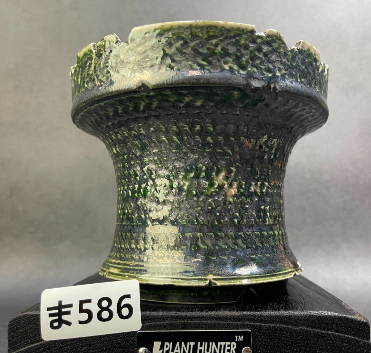 美品 大鉢 中川智治 作家鉢 アガベ パキプス グラキリス 塊根 コーデックス2 中川智治 鉢 ② 植木鉢 パキプス アガベ グラキリス クラシック