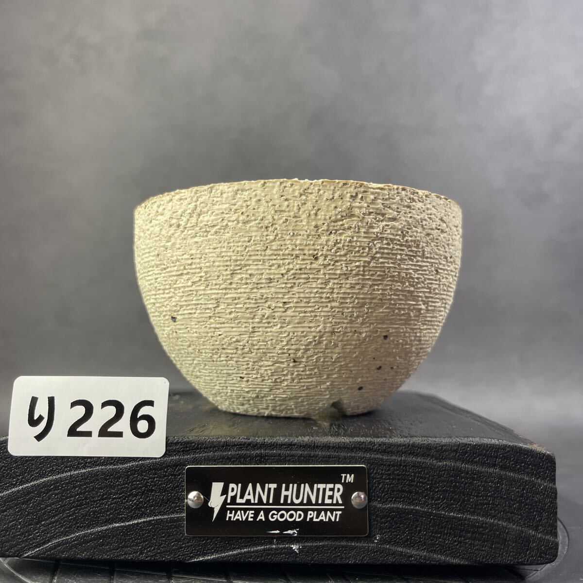 2025年最新】Yahoo!オークション -コーデックス鉢の中古品・新品