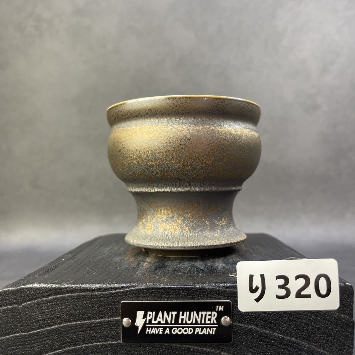 2025年最新】Yahoo!オークション -グラキリス 鉢の中古品・新品