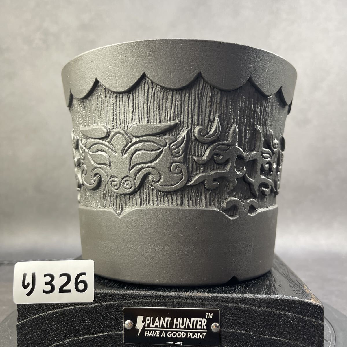 2025年最新】Yahoo!オークション -コーデックス鉢の中古品・新品