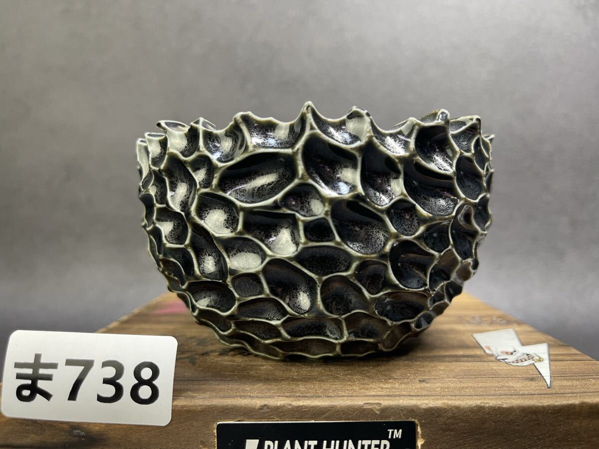 中川智治 鉢 ② 植木鉢 パキプス アガベ グラキリス 中川智治 鉢 ② 植木鉢 パキプス アガベ グラキリス 中川智治 鉢