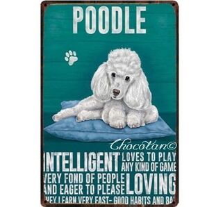 【送料無料】プードル 白 犬種 メタルサインプレート メタル看板【新品】